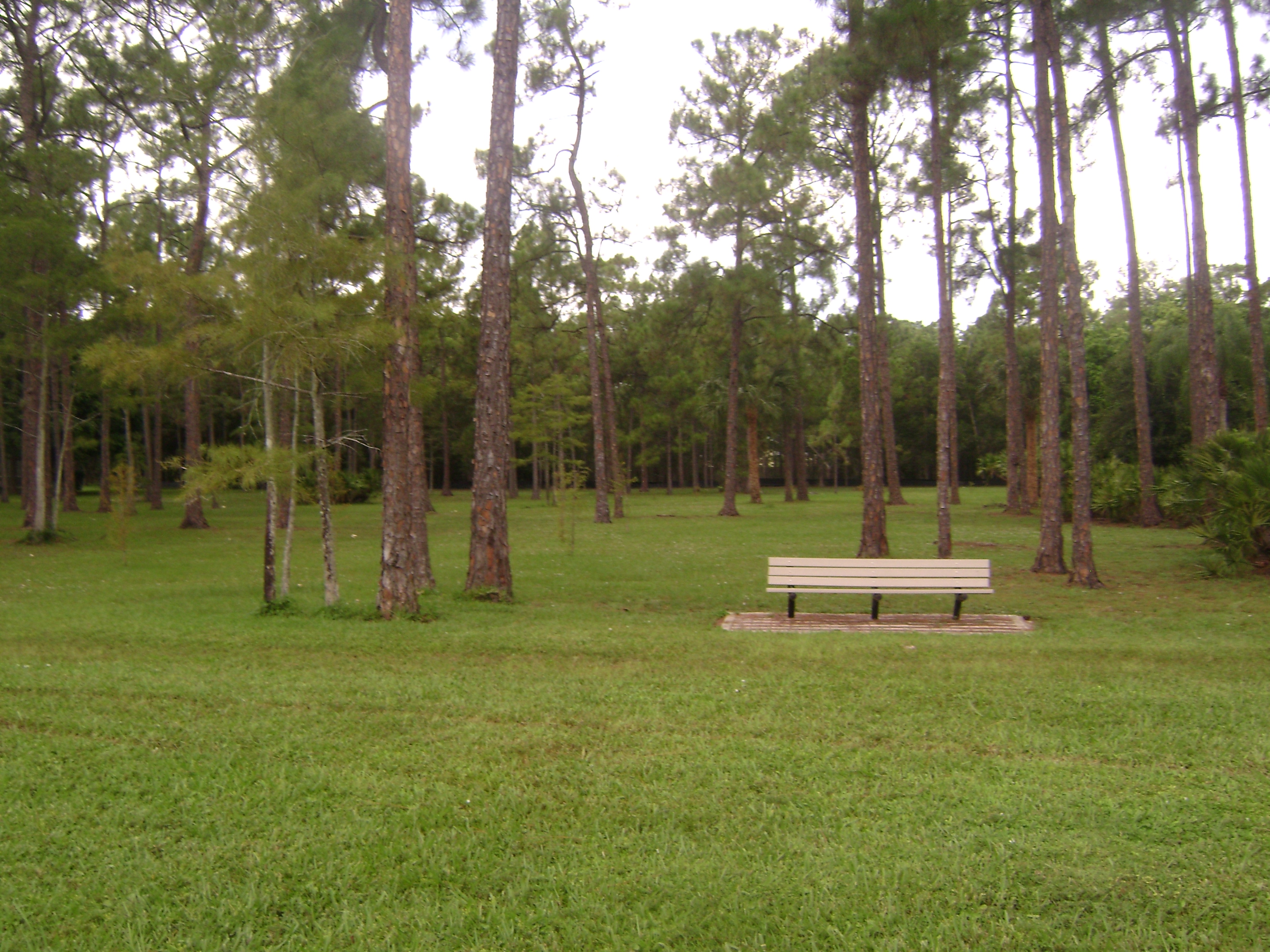 Park at Berkshire Lakes in Naples, Florida.